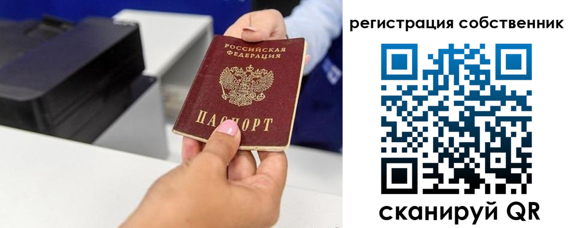 прописка для школы в Ельце